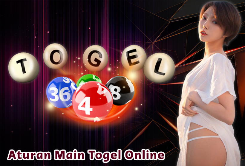 Comparison of 3 Favorite Markets of Togel Players